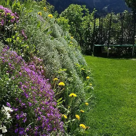 Lejlighed Alba Montis