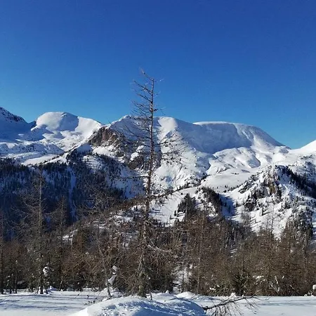 Lejlighed Alba Montis Bad Kleinkirchheim