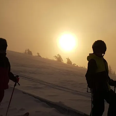 Alba Montis Lejlighed Bad Kleinkirchheim