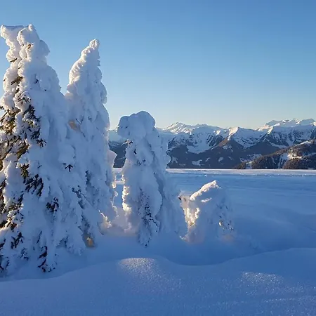 Alba Montis Lejlighed *