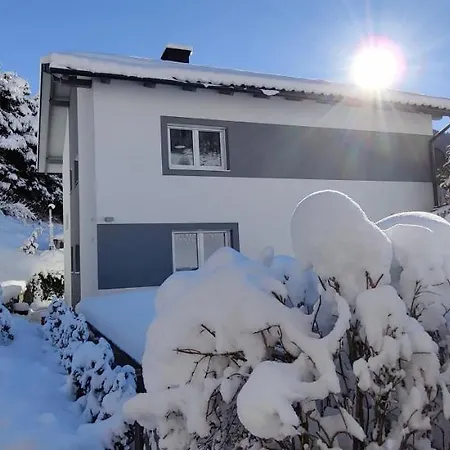 Alba Montis Lejlighed Bad Kleinkirchheim