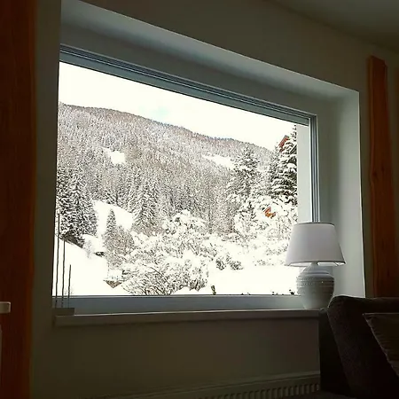 아파트 Alba Montis 바트키르히하임