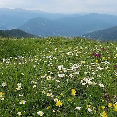 Alba Montis Lejlighed *