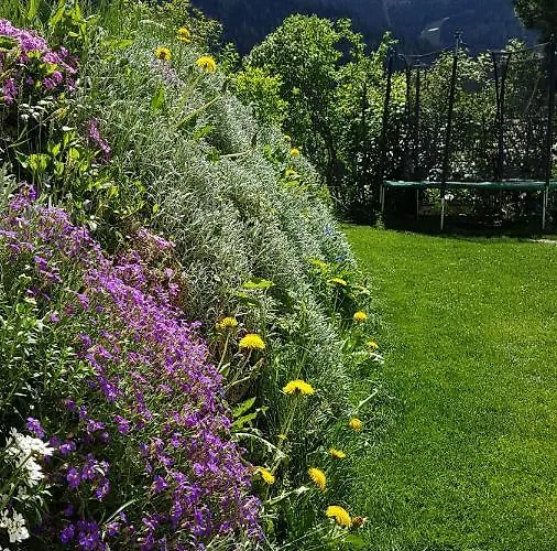 Апартаменты Alba Montis