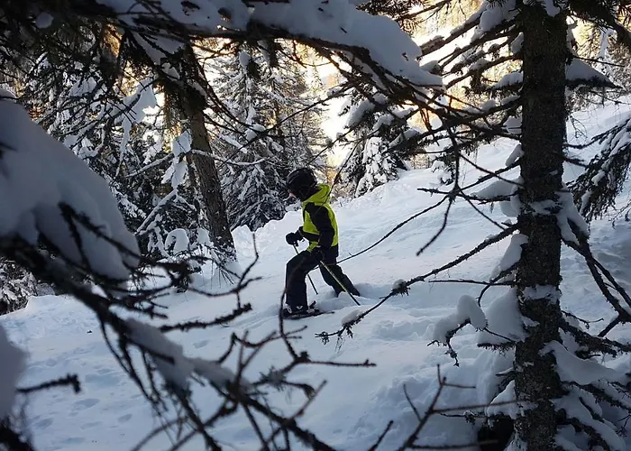 Апартаменты Alba Montis *