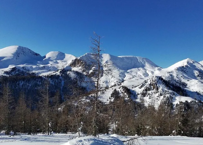 Апартаменты Alba Montis Бад Кляйнкирххайм