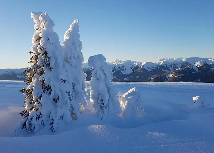 Alba Montis Апартаменты *