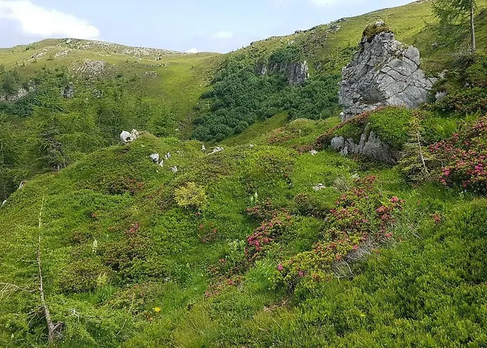 Alba Montis Бад Кляйнкирххайм