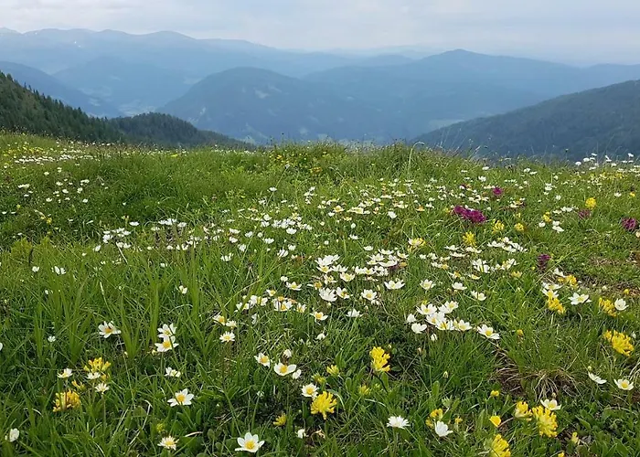 Alba Montis Апартаменты *