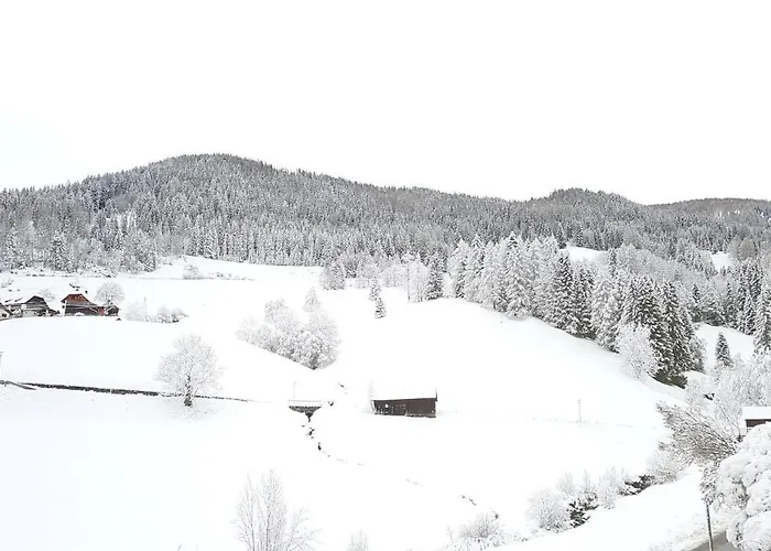 Апартаменты Alba Montis *